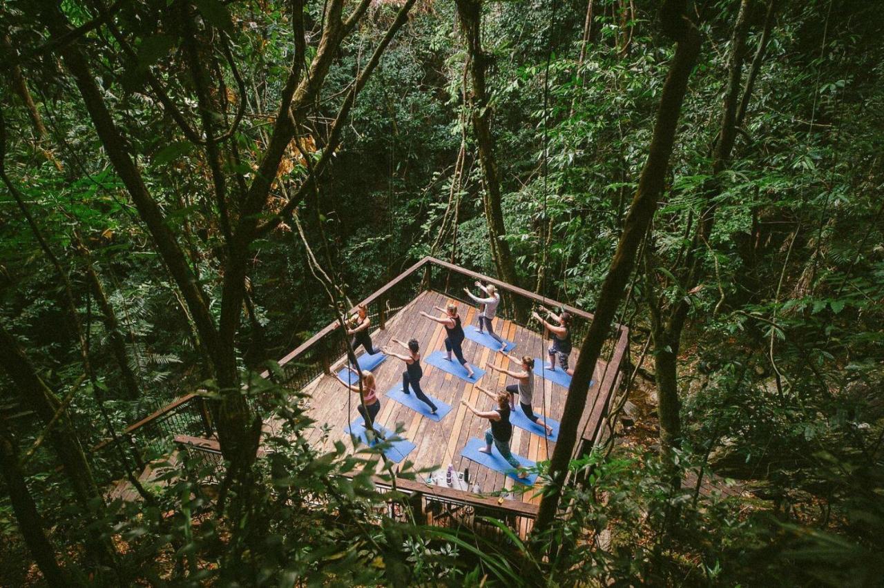 Daintree Ecolodge Dış mekan fotoğraf