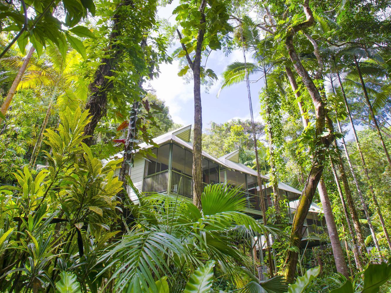 Daintree Ecolodge Dış mekan fotoğraf