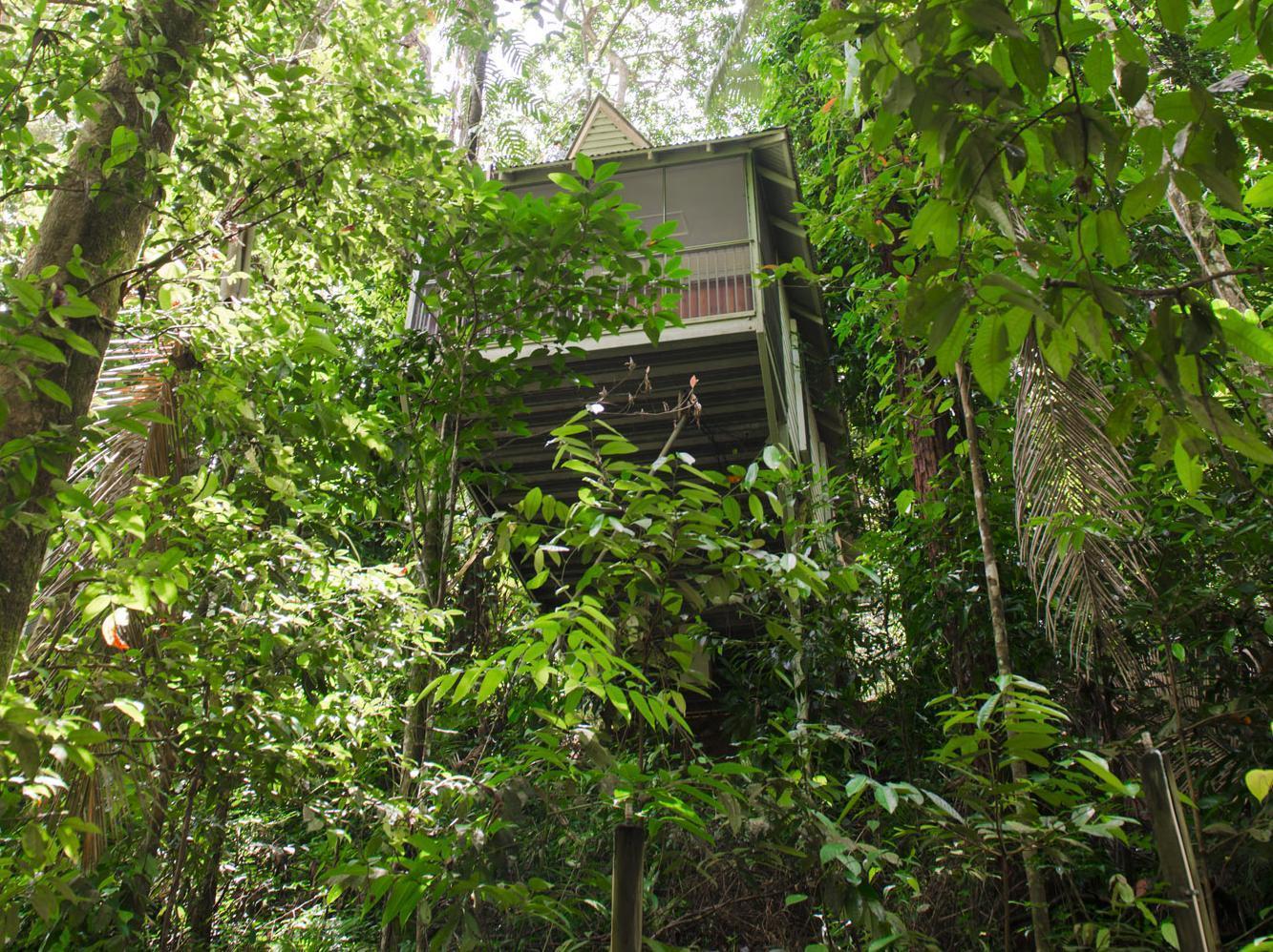 Daintree Ecolodge Dış mekan fotoğraf