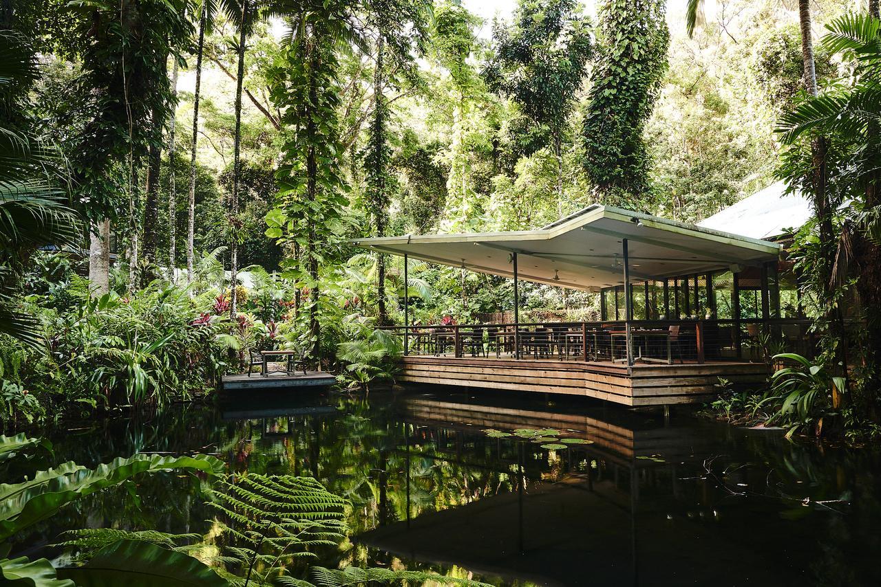 Daintree Ecolodge Dış mekan fotoğraf