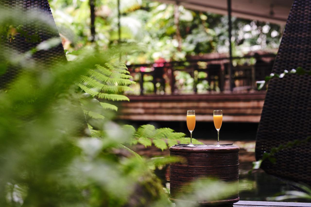Daintree Ecolodge Dış mekan fotoğraf