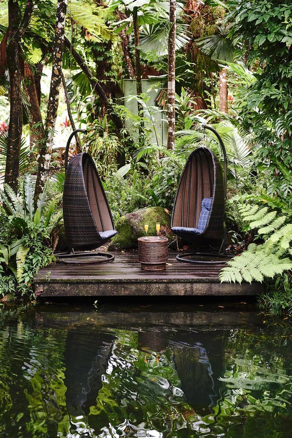 Daintree Ecolodge Dış mekan fotoğraf