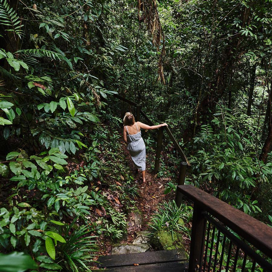 Daintree Ecolodge Dış mekan fotoğraf