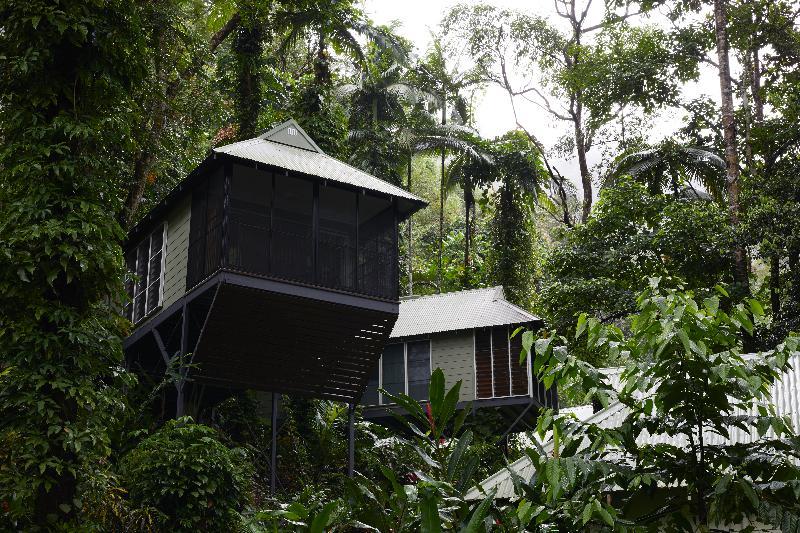 Daintree Ecolodge Dış mekan fotoğraf