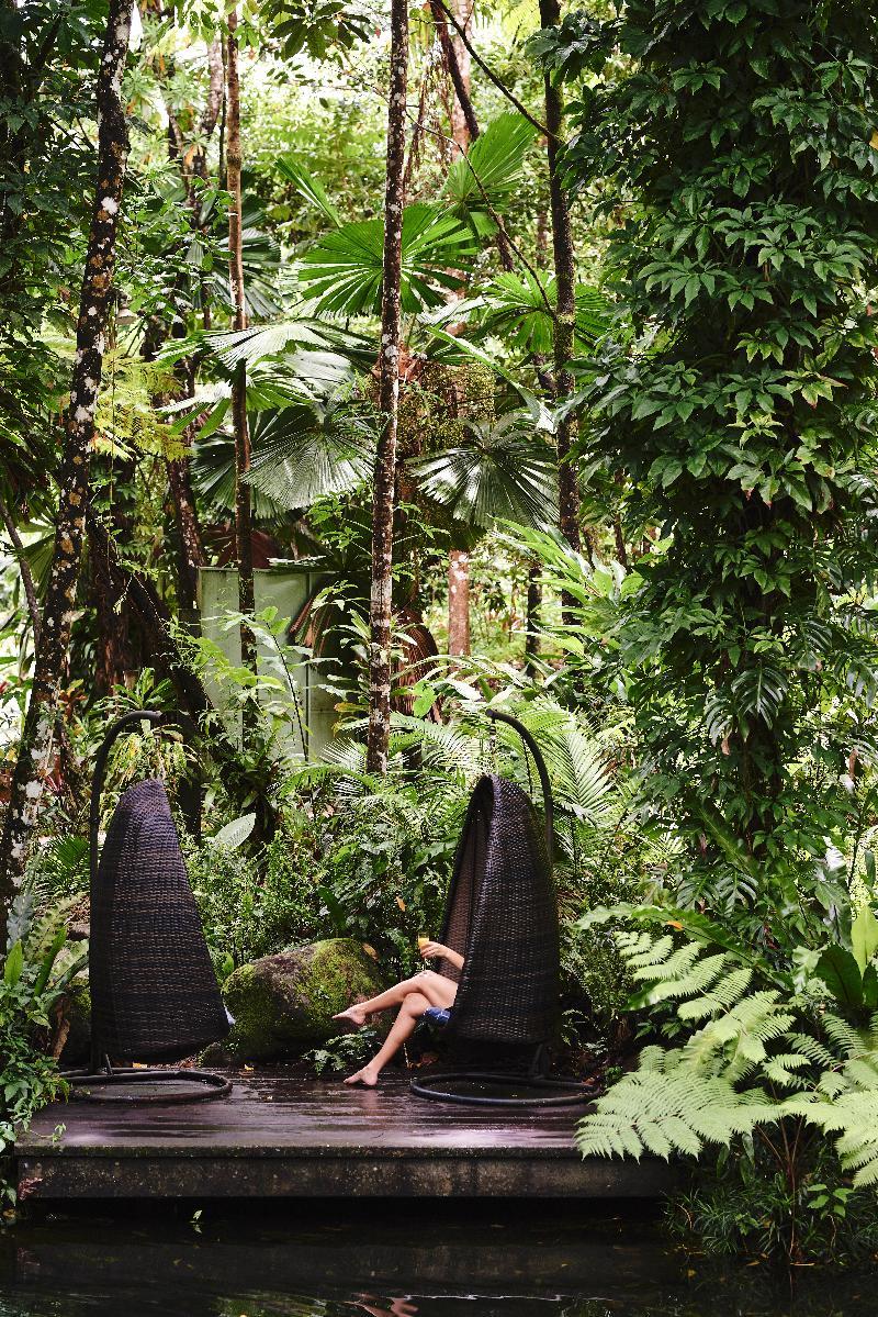 Daintree Ecolodge Dış mekan fotoğraf