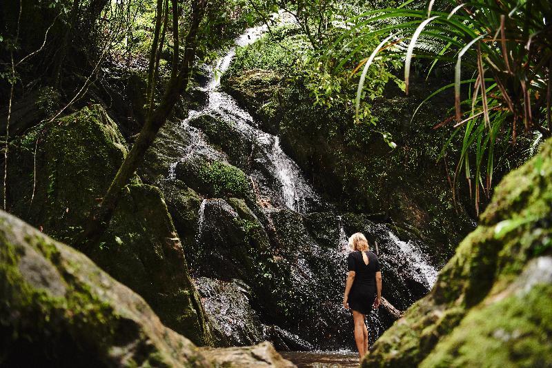 Daintree Ecolodge Dış mekan fotoğraf