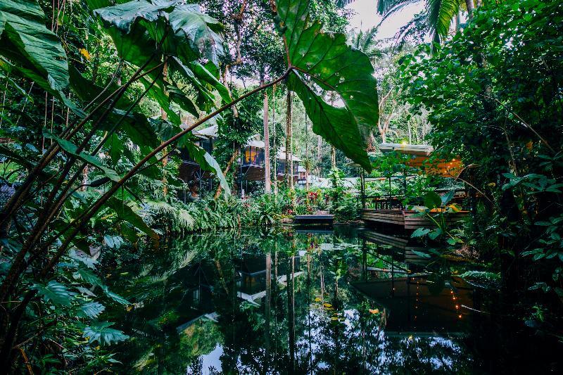 Daintree Ecolodge Dış mekan fotoğraf