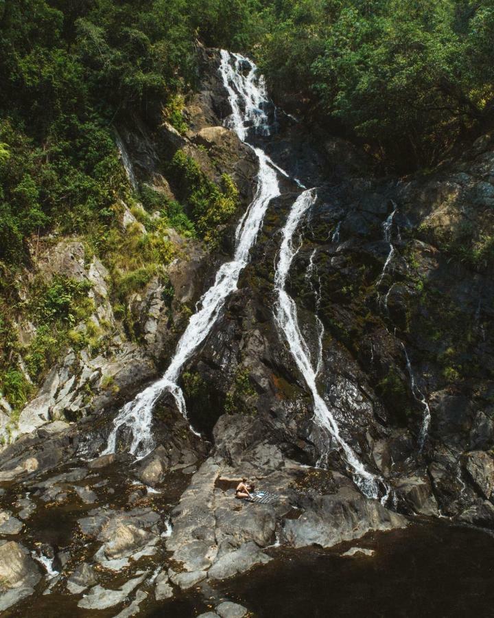 Daintree Ecolodge Dış mekan fotoğraf