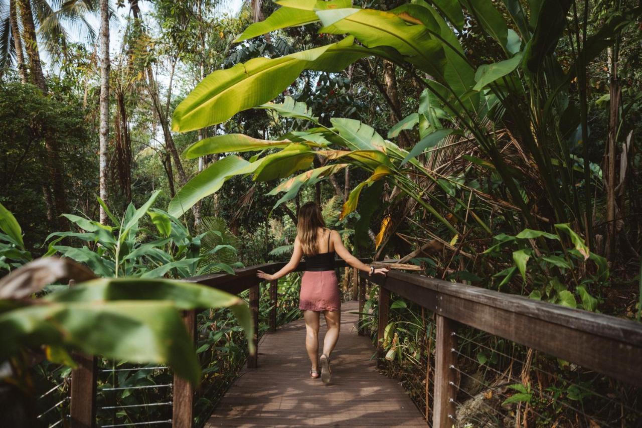 Daintree Ecolodge Dış mekan fotoğraf