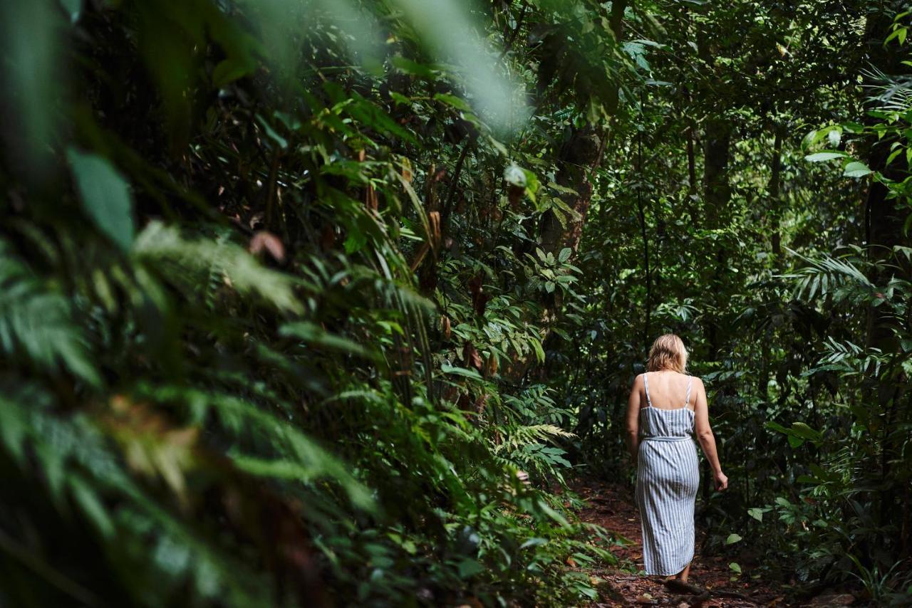 Daintree Ecolodge Dış mekan fotoğraf